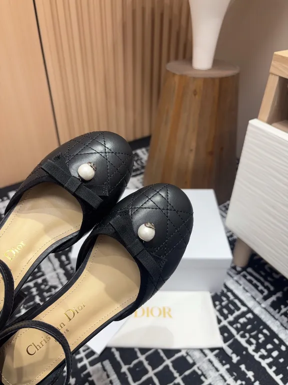 Dior Shoe 